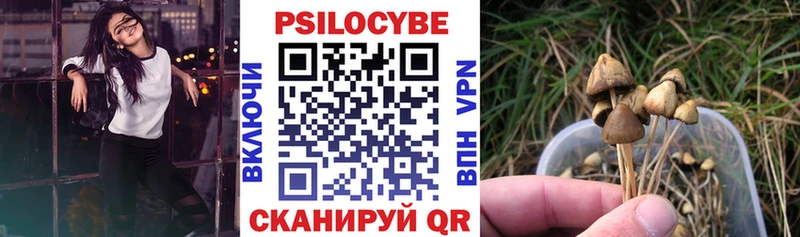 Купить где Льгов Псилоцибиновые грибы MAGIC MUSHROOMS